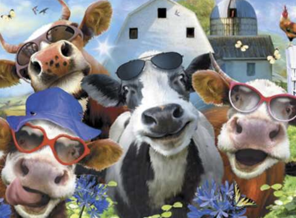 Cows with Sunglasses Birthday Card