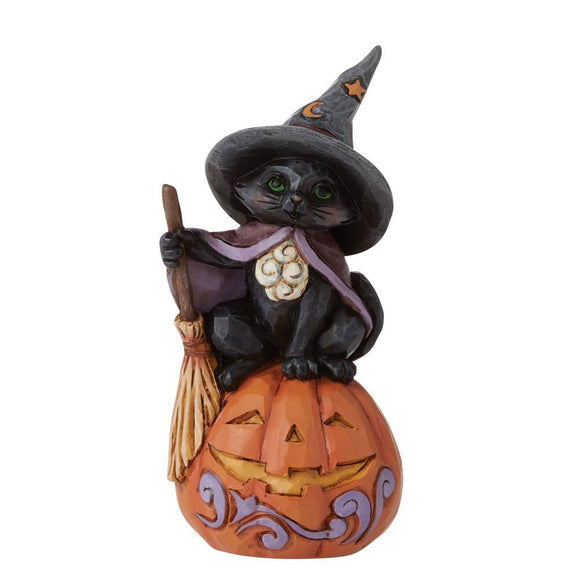 Black Cat Sitting on Pumpkin