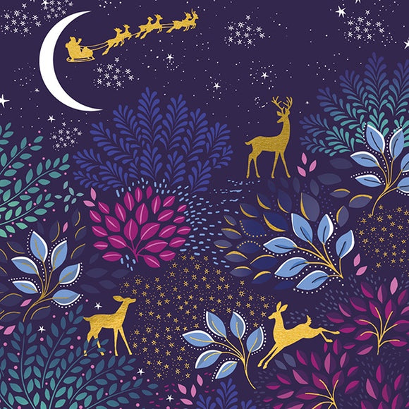 Reindeer & Santa Sleigh Forest Christmas Card
