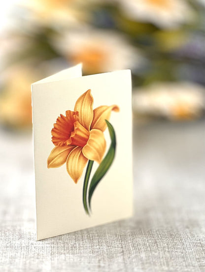English Daffodils Pop-Up Card - Large
