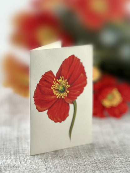 French Poppies Pop-Up Card - Large