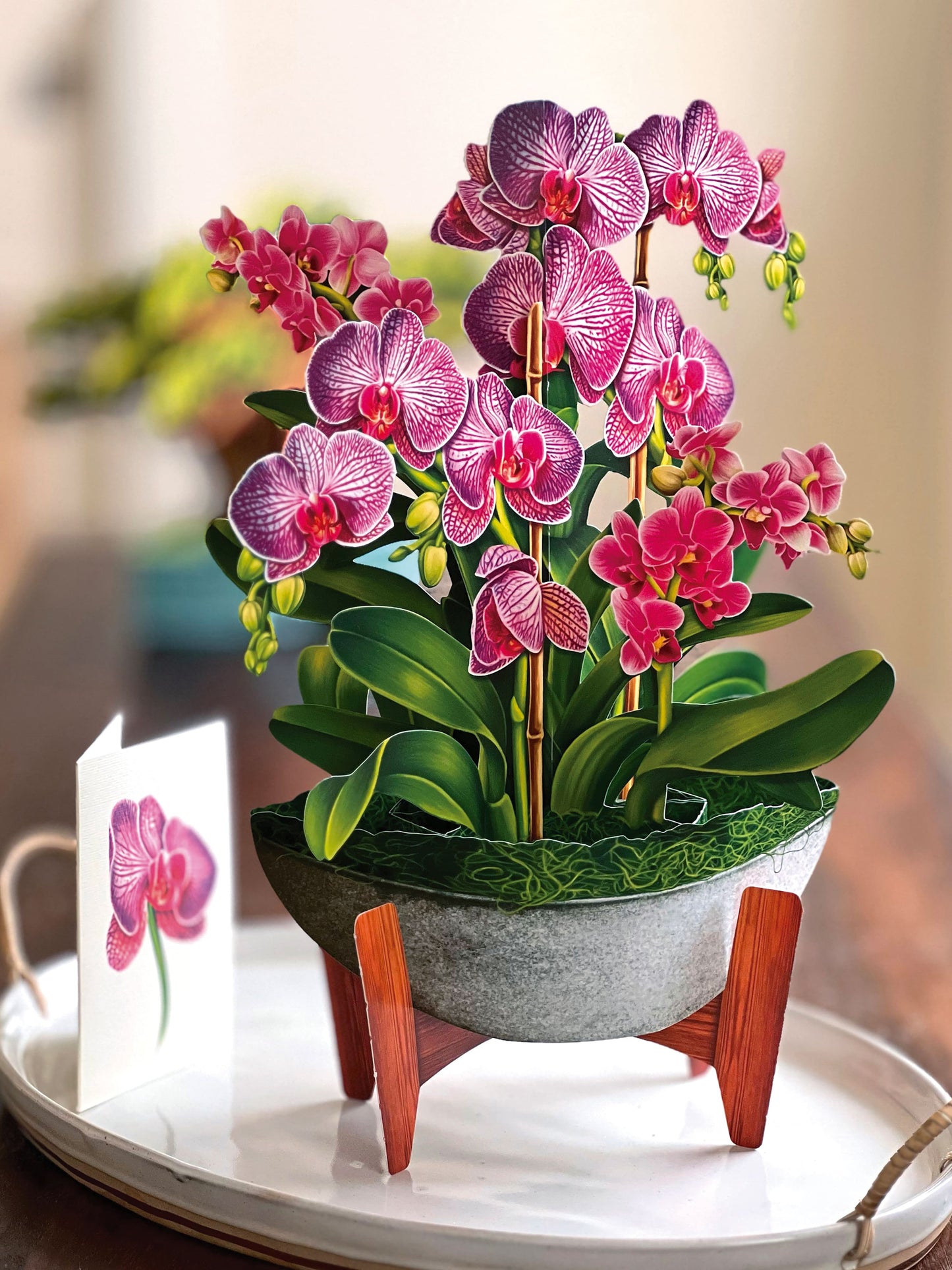 Orchid Oasis Pop-Up Card - Large