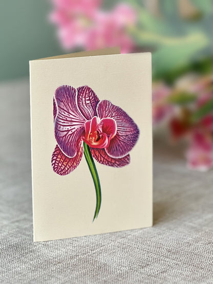 Orchid Oasis Pop-Up Card - Large