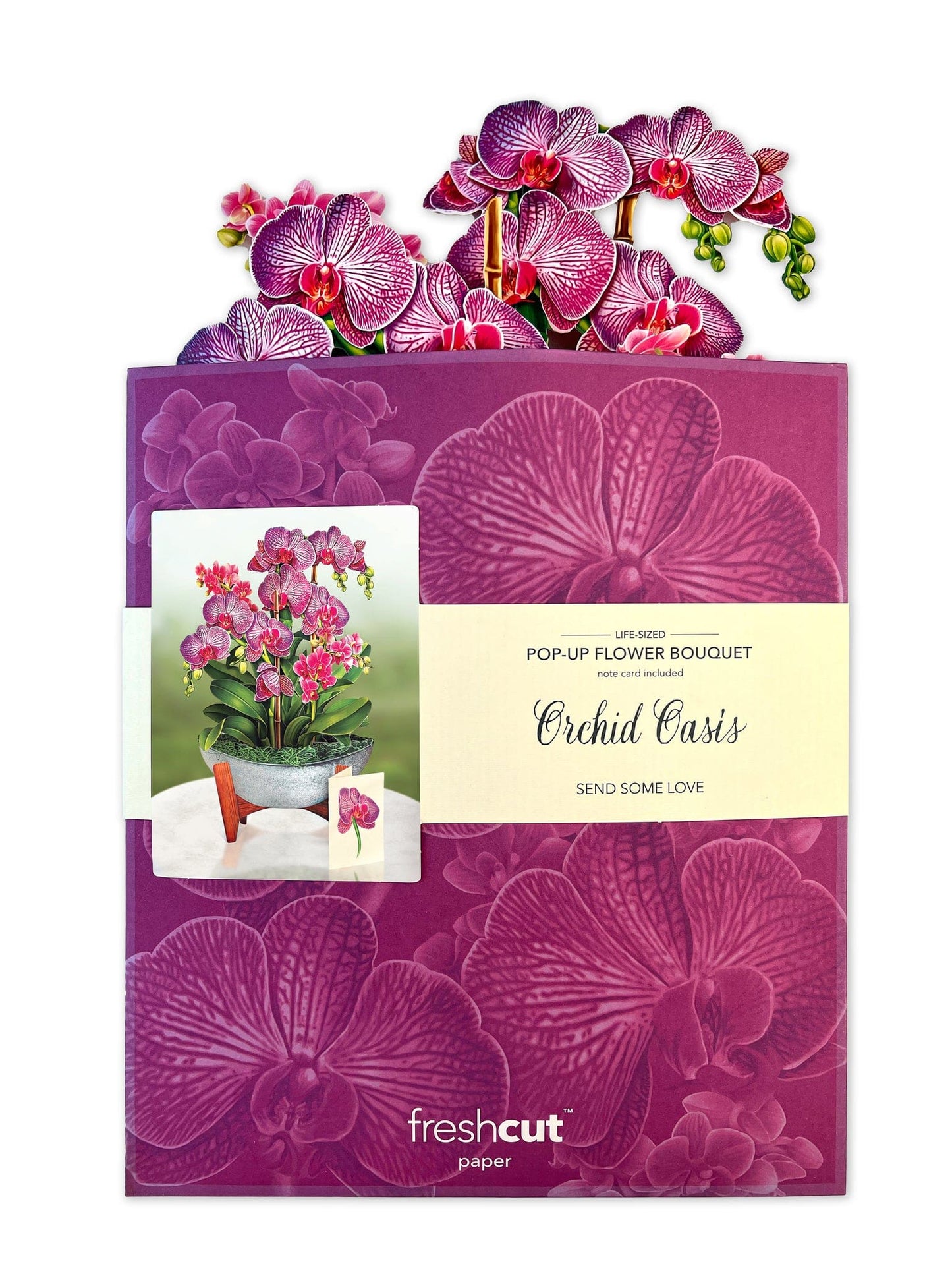 Orchid Oasis Pop-Up Card - Large