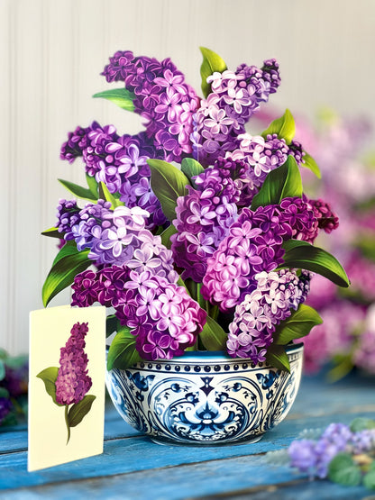 Garden Lilacs Pop-Up Card - Large