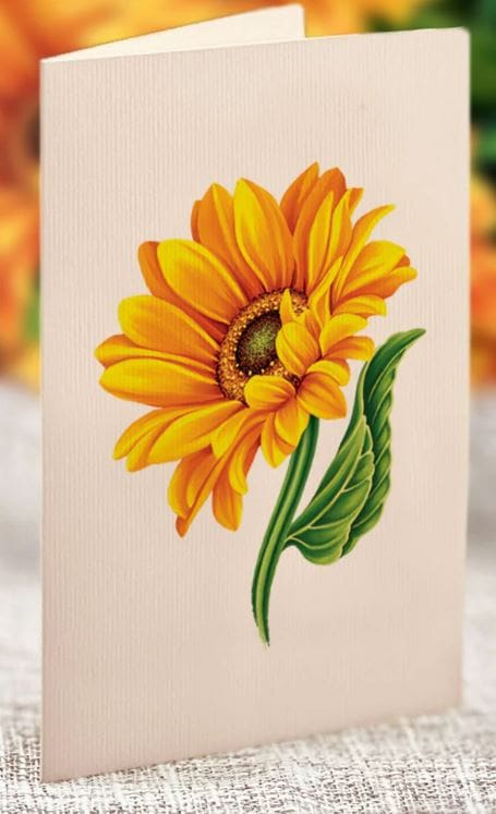 Sunflowers Pop-Up Card - Large
