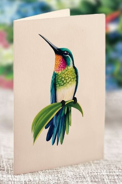 Hummingbird Oasis Pop-Up Card - Large