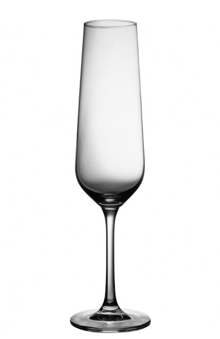 Trudeau Splendido Champagne Glass 7oz