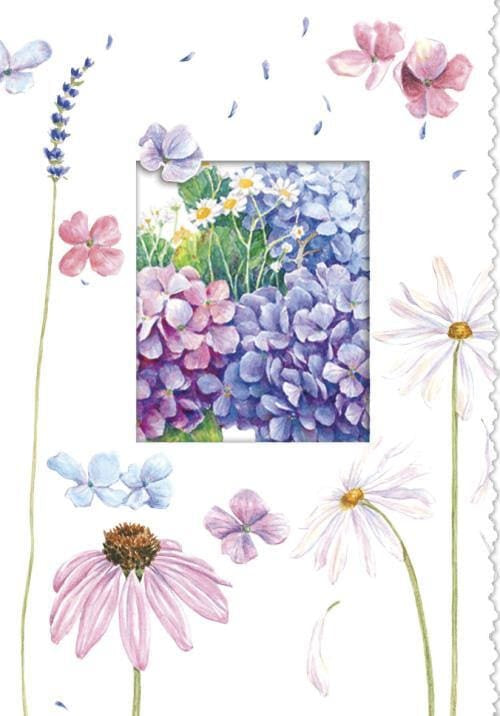 Daises Hydrangea Get Well Soon Card