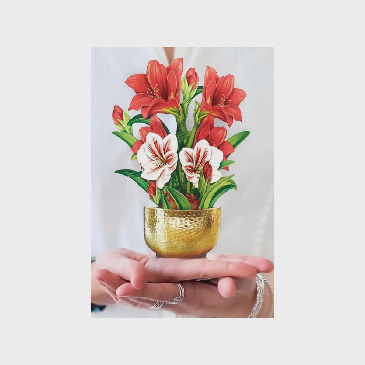 Scarlet Amaryllis - Mini Pop-up Card