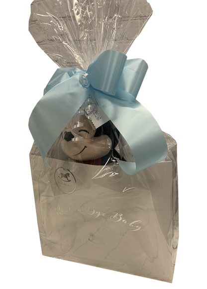 Baby Boy Gift Bag Basket