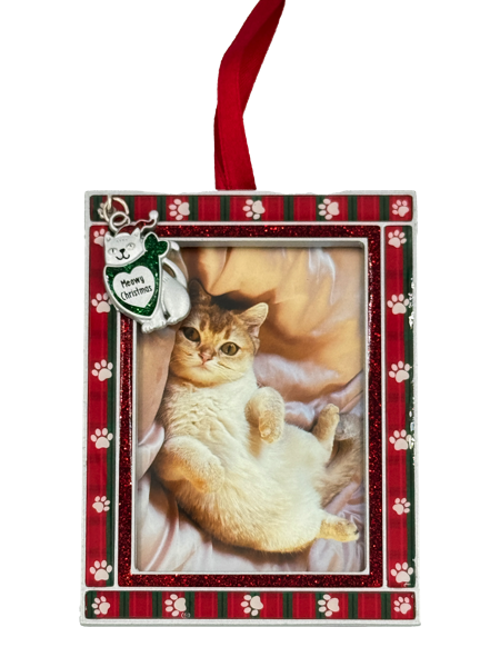 Frame Ornament - Cat - Meowy Christmas