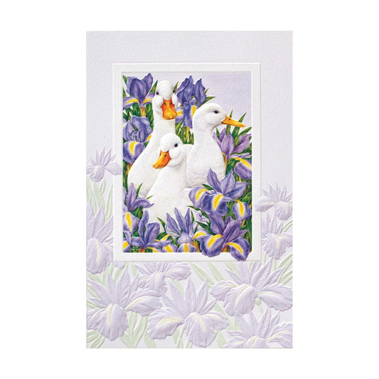 Garden Ducks Birthday Cards