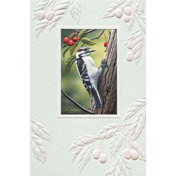 Pumpernickel Downy Woodpecker Birthday Card