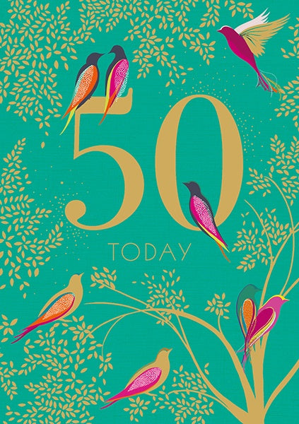 50 today - Birds