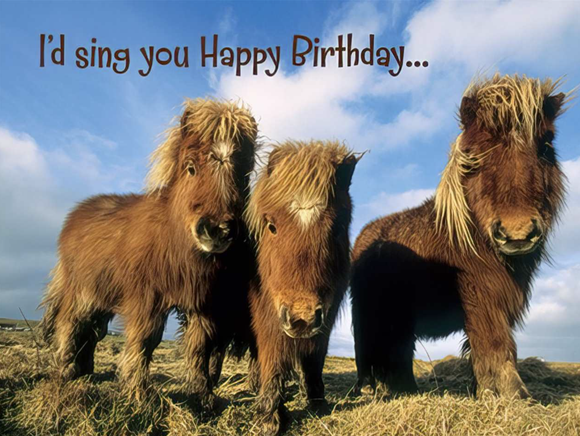 Horse Sing You Birthday Card