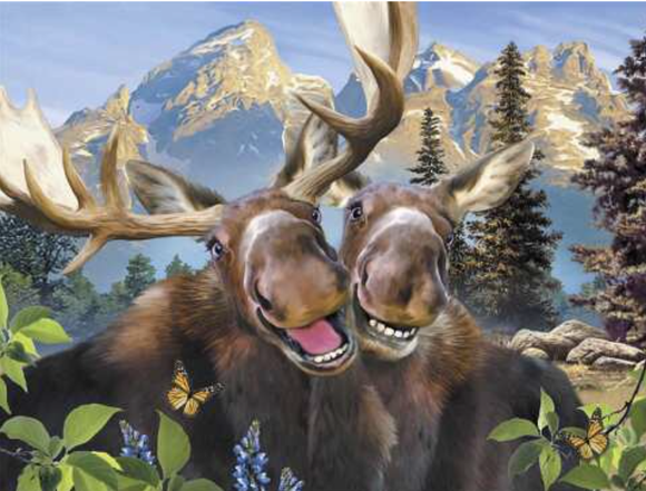 Moose Anniversary Card