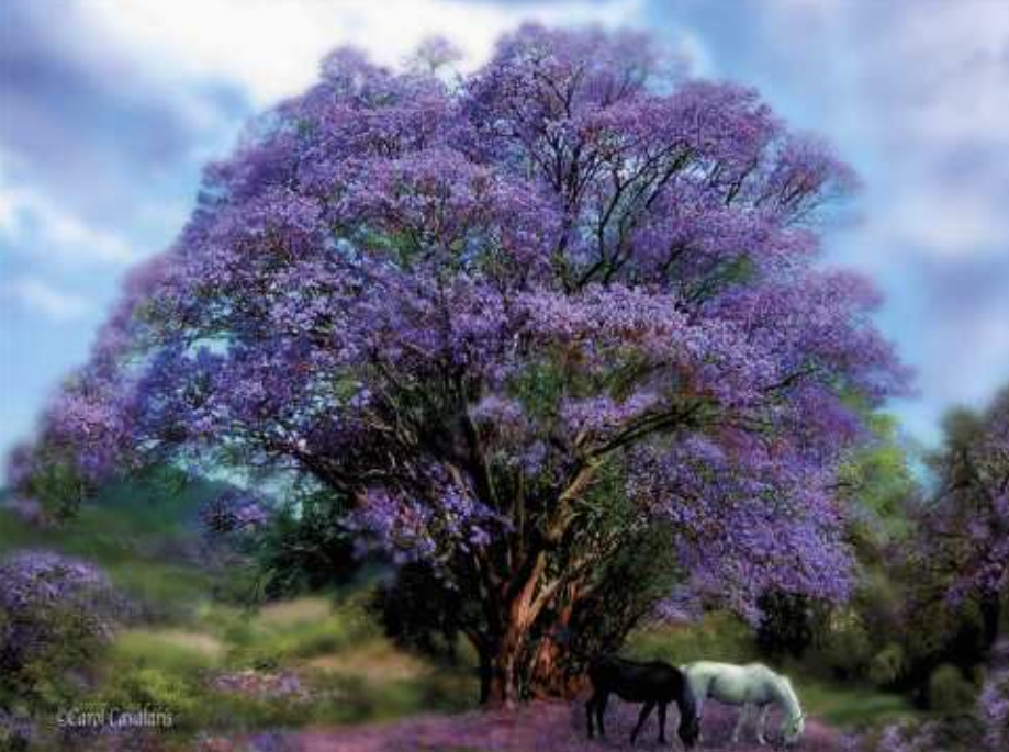 Lavander Tree Card