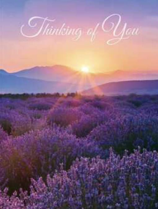 Thinking of You Sunset Card