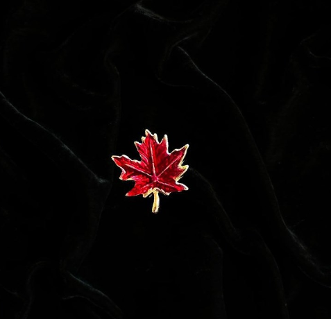 Maple Leaf Clutch Pin