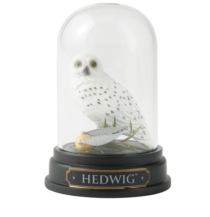Hedwig Curiosity Cloche