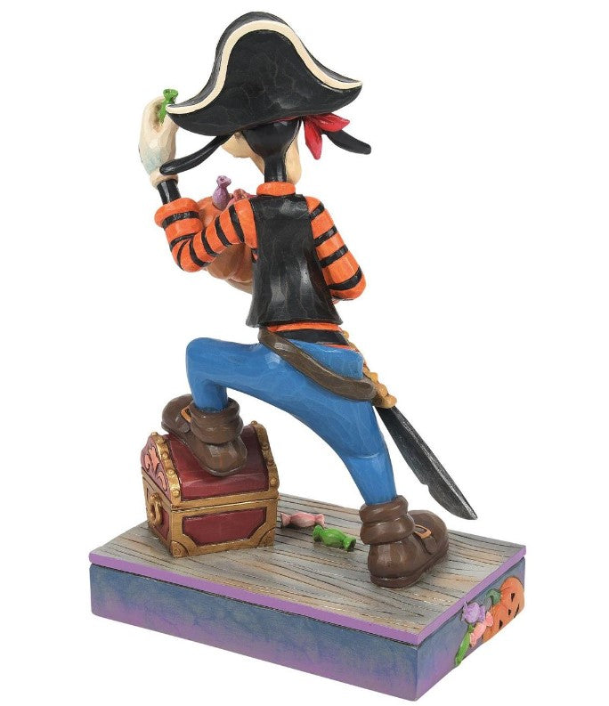 Goofy Pirate Costume