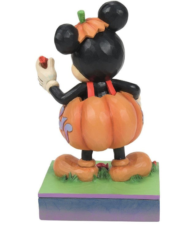 Mickey Pumpkin Costume