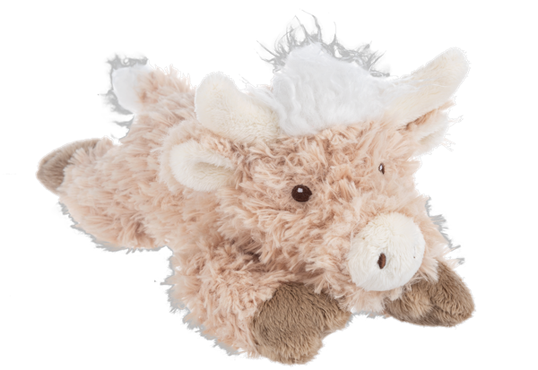 Hamish Highland Cow