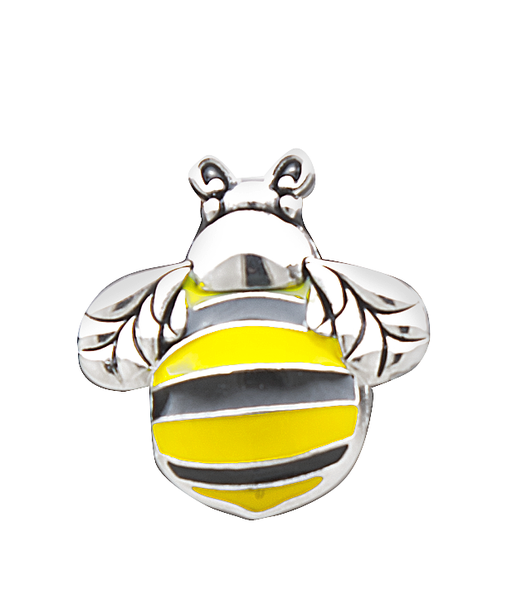 The Bumble Bee Cannot Fly Charm