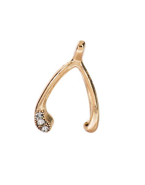 Lucky Wishbone Charm