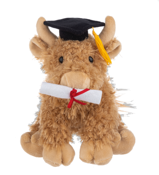 Graduation Hennie Highland Cow