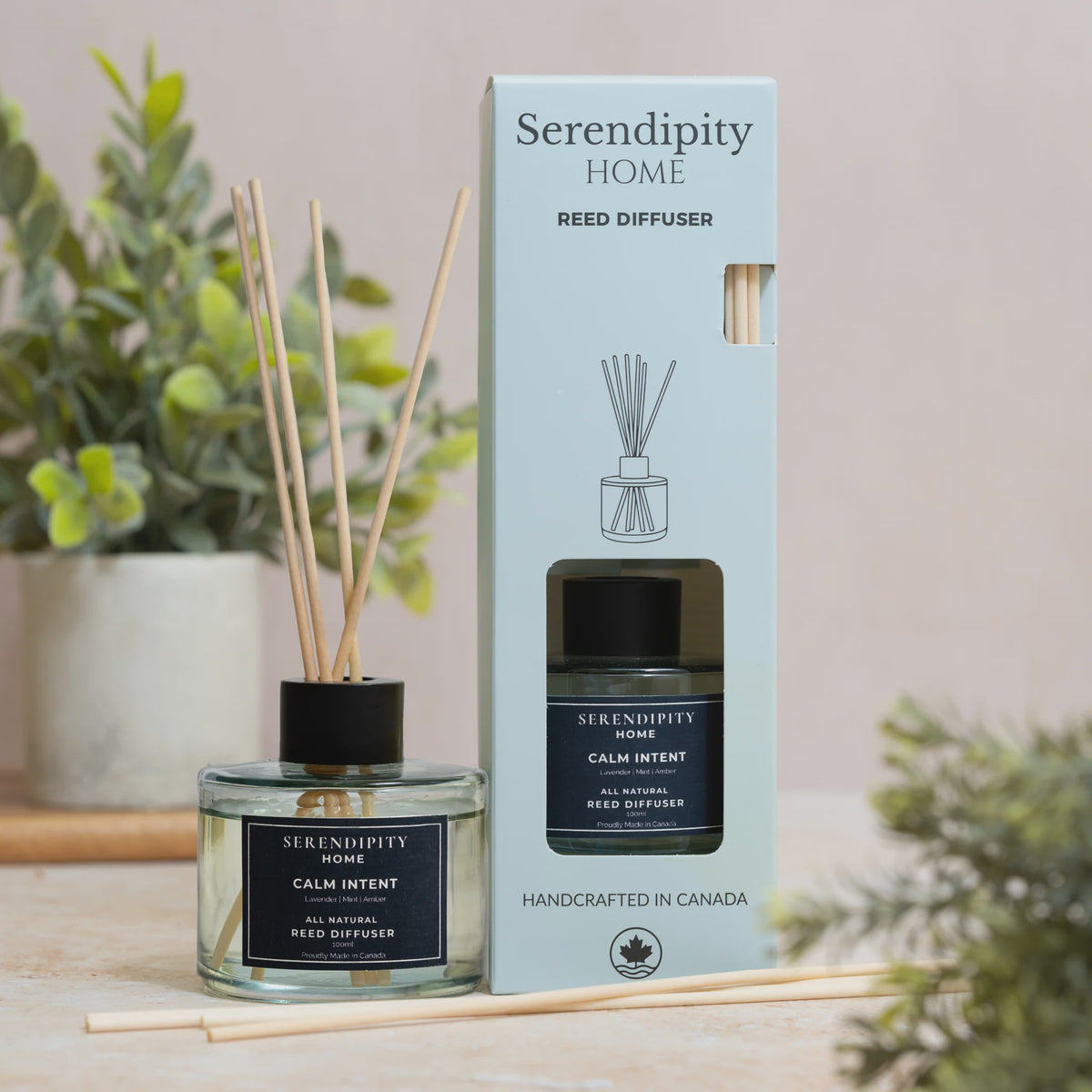 Room Diffusers - Reflect 100ml
