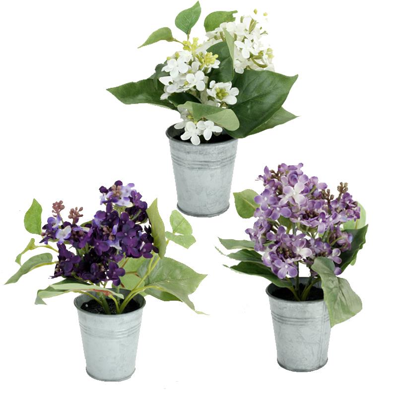 Lilac Pot