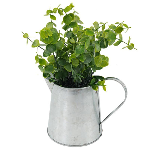 Plant in Watering Can