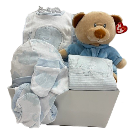 Baby Boy Basket 75