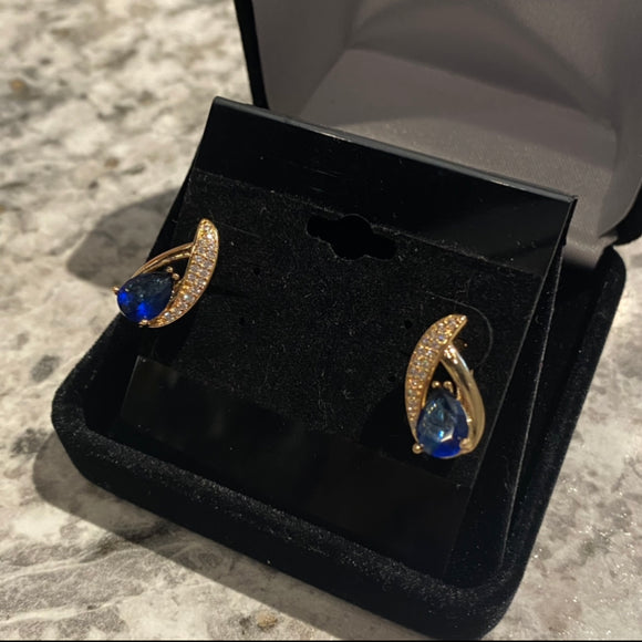Dark Blue Crystal Earrings
