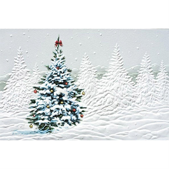 Outdoor Decorated Christmas Cards