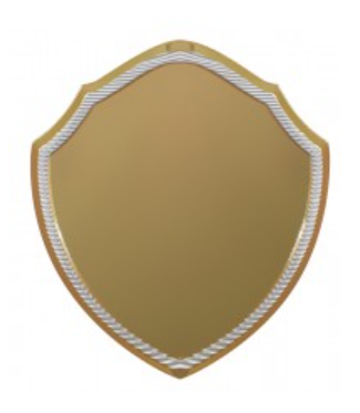 Gold Shield Plaque