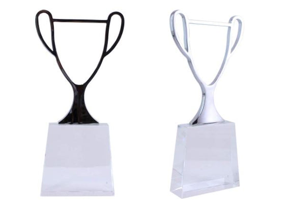 Metal Trophy Outline with glass base