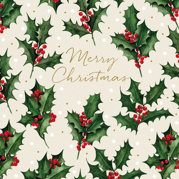 Merry Christmas Mistletoe Christmas Card