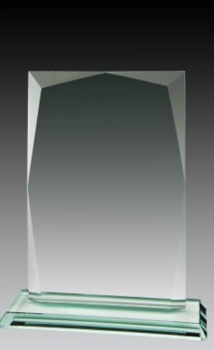 Glass Rectangle Award