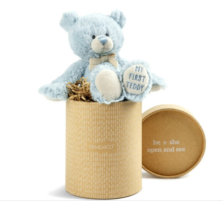 Gender Reveal Teddy Bear