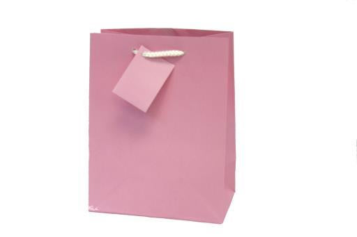 Medium Light Pink Gift Bag