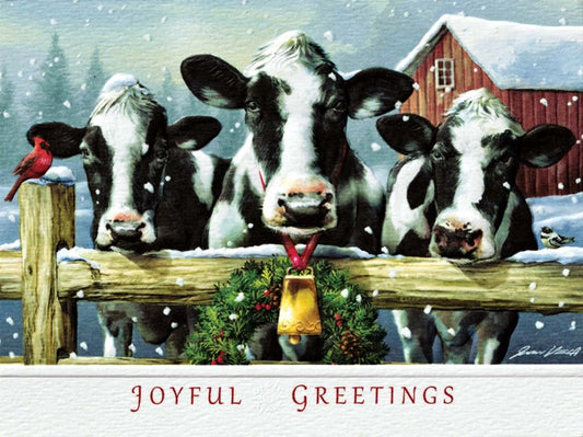 Cow Joyful Greetings Holiday Card