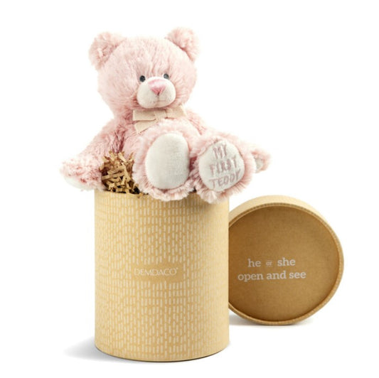 Gender Reveal Teddy Bear